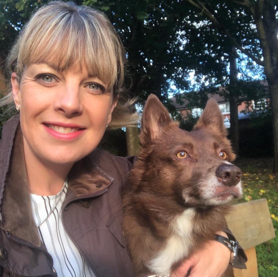 Virtual Dog Training Advice