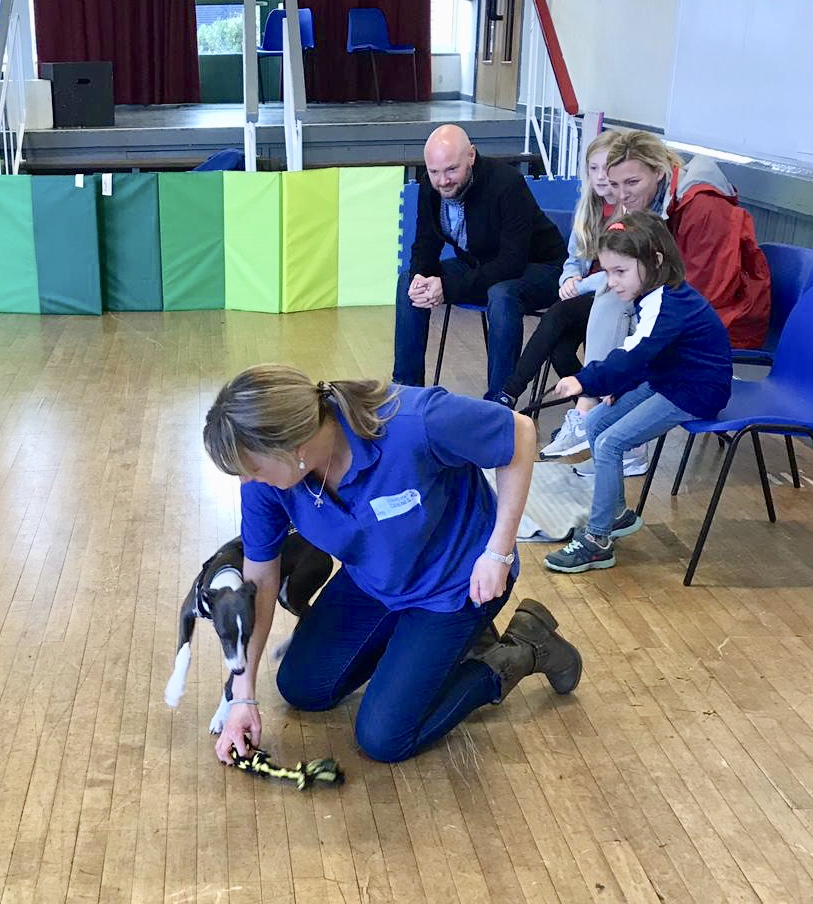 WORKSHOPS & SEMINARS